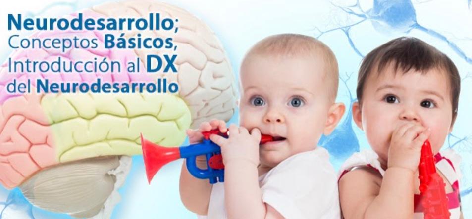 Course Image Introducción Diplomado Neuroeducación, Neurodesarrollo y Psicomotricidad